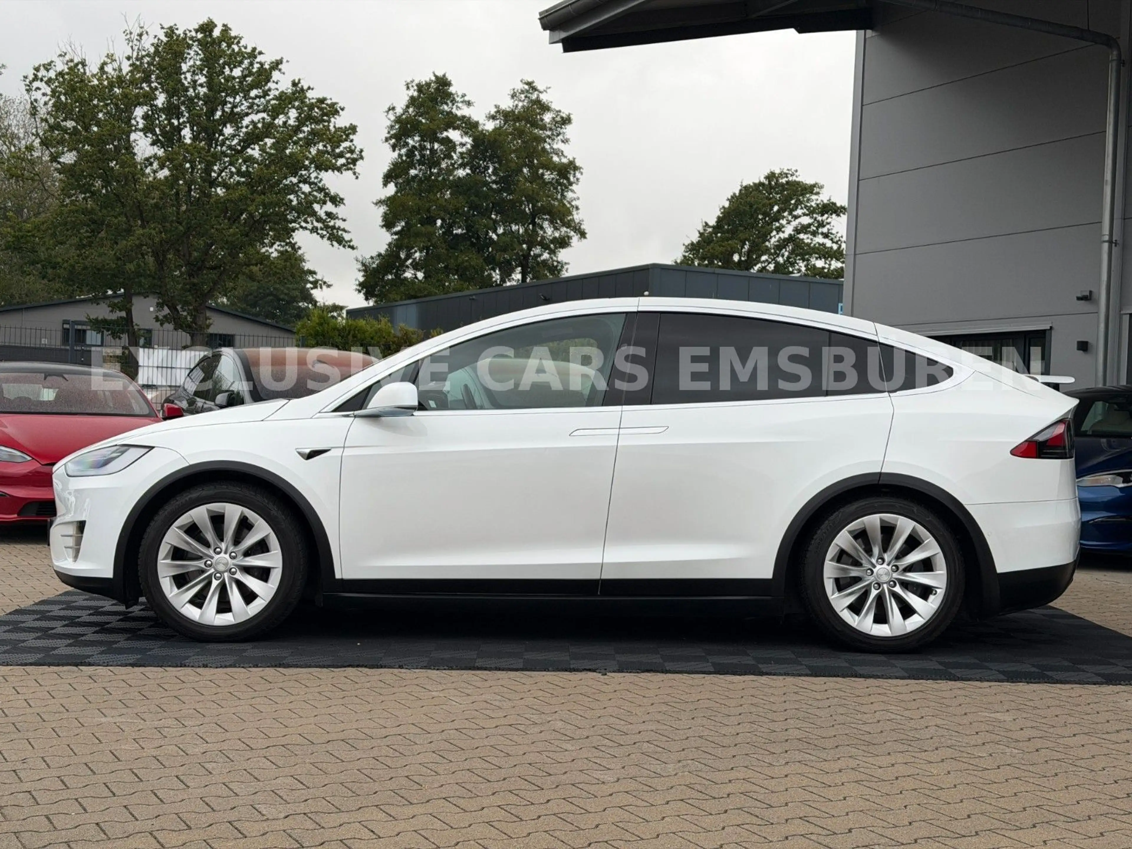 Tesla Model X MODEL X LONG RAVEN LONG RANGE DUAL MOTOR — photo 10