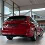 Skoda Octavia Combi First Edition/ACC/PDC/NAVI/TOTWNKL Rot - thumbnail 6