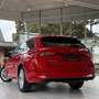Skoda Octavia Combi First Edition/ACC/PDC/NAVI/TOTWNKL Rot - thumbnail 9