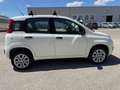 Fiat Panda Panda 0.9 TwinAir Turbo Natural Power Lounge Bianco - thumbnail 8