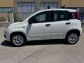 Fiat Panda Panda 0.9 TwinAir Turbo Natural Power Lounge Bianco - thumbnail 7