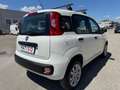 Fiat Panda Panda 0.9 TwinAir Turbo Natural Power Lounge Bianco - thumbnail 5