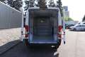 Fiat Ducato Kastenwagen L4H2 180MJT Euro-6D-Final MT Sie sp... Blanc - thumbnail 9