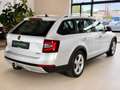 Skoda Octavia Octavia 2.0 TDI Scout 4x4-Kamera-AHK-Navi Grau - thumbnail 4