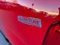 Fiat Fiorino 1.3 Multijet 95 cv  ALLESTIMENTO VERSIONE PESANTE Rosso - thumbnail 5