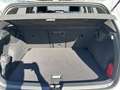 Volkswagen Golf VIII 1.5 TSI GOAL LED+NAVI+AHK+ACC+SHZ+PDC+ Weiß - thumbnail 7