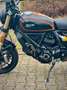Ducati Scrambler Nightshift *Eyecatcher inkl Garantie Negro - thumbnail 11