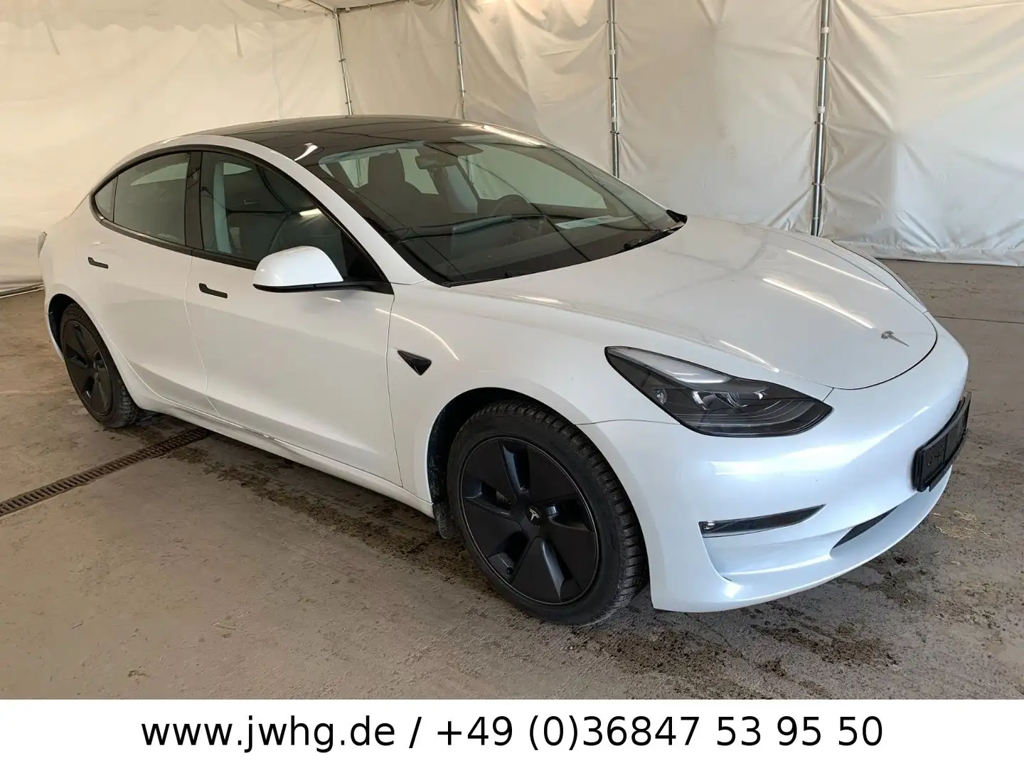 Tesla Model 3 LR Dual AWD Wärmepumpe Ryzen Aviloo-97% Weiß - 2