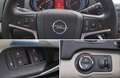 Opel Insignia 2.0 Cosmo *NAVI-DVD800/SHZ/PDC/TEMPOMAT Weiß - thumbnail 12