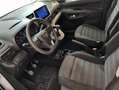 Opel Combo 1.5 TD 110CV LIFE BUSINESS EDIT. PLUS LWB 5P Blanco - thumbnail 23