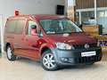 Volkswagen Caddy DSG Maxi Behindertengerecht-Rampe SpaceDri Fioletowy - thumbnail 7