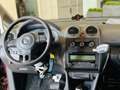 Volkswagen Caddy DSG Maxi Behindertengerecht-Rampe SpaceDri Fialová - thumbnail 5