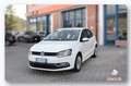 Volkswagen Polo 1.4 TDI Comfortline 75 CV-OK NEOPATENTATI Bianco - thumbnail 1