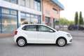Volkswagen Polo 1.4 TDI Comfortline 75 CV-OK NEOPATENTATI Bianco - thumbnail 3