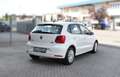 Volkswagen Polo 1.4 TDI Comfortline 75 CV-OK NEOPATENTATI Bianco - thumbnail 6