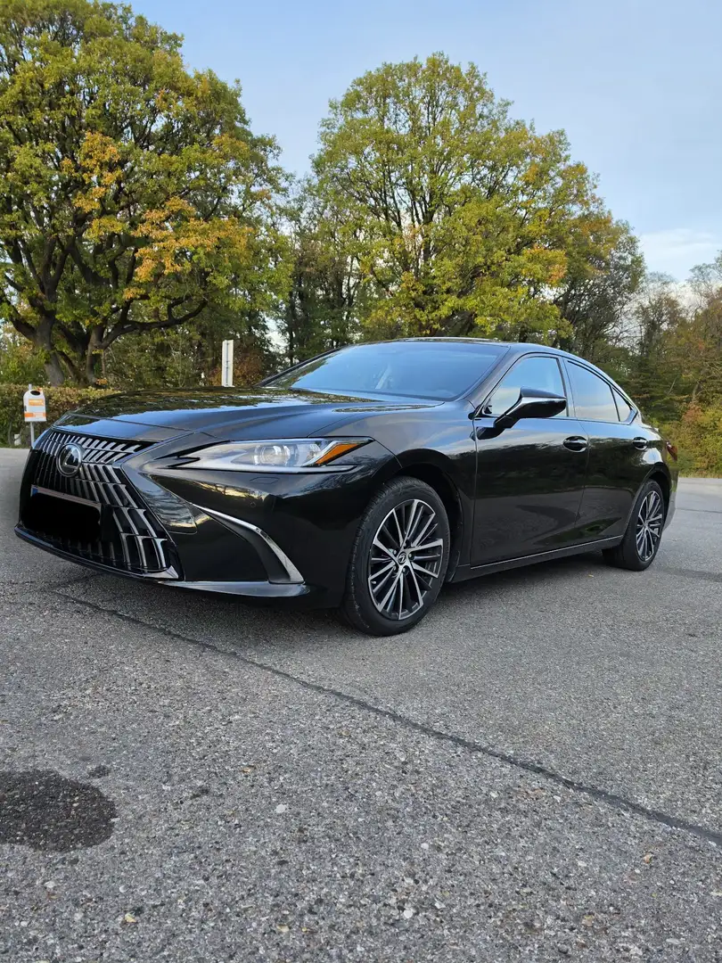 Lexus ES 300 300h Business Line - 2