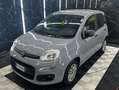 Fiat Panda Panda III 2016 1.2 Easy s Gris - thumbnail 1