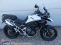 Triumph Tiger 1200 GT PRO Mod`25 Vorf =3100,- gespart Bílá - thumbnail 1