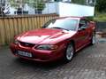 Ford Mustang GT (SN95) 4.6 V8 Rosso - thumbnail 1