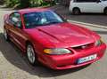 Ford Mustang GT (SN95) 4.6 V8 Rouge - thumbnail 8