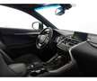 Lexus NX 300h 2.5   4WD + Navibox F Sport + Pack Boutique Select Wit - thumbnail 12