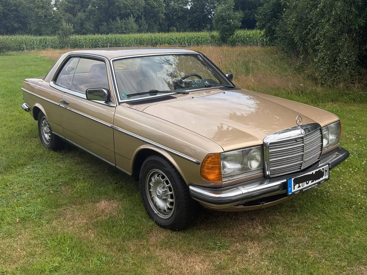 Mercedes-Benz CE 230 Oldtimer, Mercedes 230 CE, foto 4