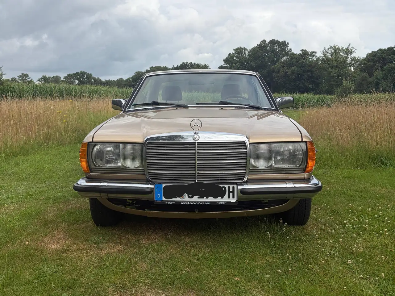 Mercedes-Benz CE 230 Oldtimer, Mercedes 230 CE, foto 5