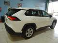 Toyota RAV 4 2.5 hybrid 4WD Business Weiß - thumbnail 5