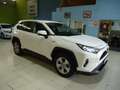 Toyota RAV 4 2.5 hybrid 4WD Business Weiß - thumbnail 3