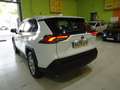 Toyota RAV 4 2.5 hybrid 4WD Business Weiß - thumbnail 29