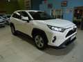 Toyota RAV 4 2.5 hybrid 4WD Business Weiß - thumbnail 25