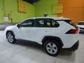 Toyota RAV 4 2.5 hybrid 4WD Business Weiß - thumbnail 1