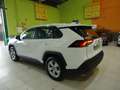 Toyota RAV 4 2.5 hybrid 4WD Business Weiß - thumbnail 6