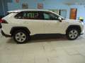 Toyota RAV 4 2.5 hybrid 4WD Business Weiß - thumbnail 26