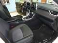 Toyota RAV 4 2.5 hybrid 4WD Business Weiß - thumbnail 11