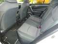 Toyota RAV 4 2.5 hybrid 4WD Business Weiß - thumbnail 8