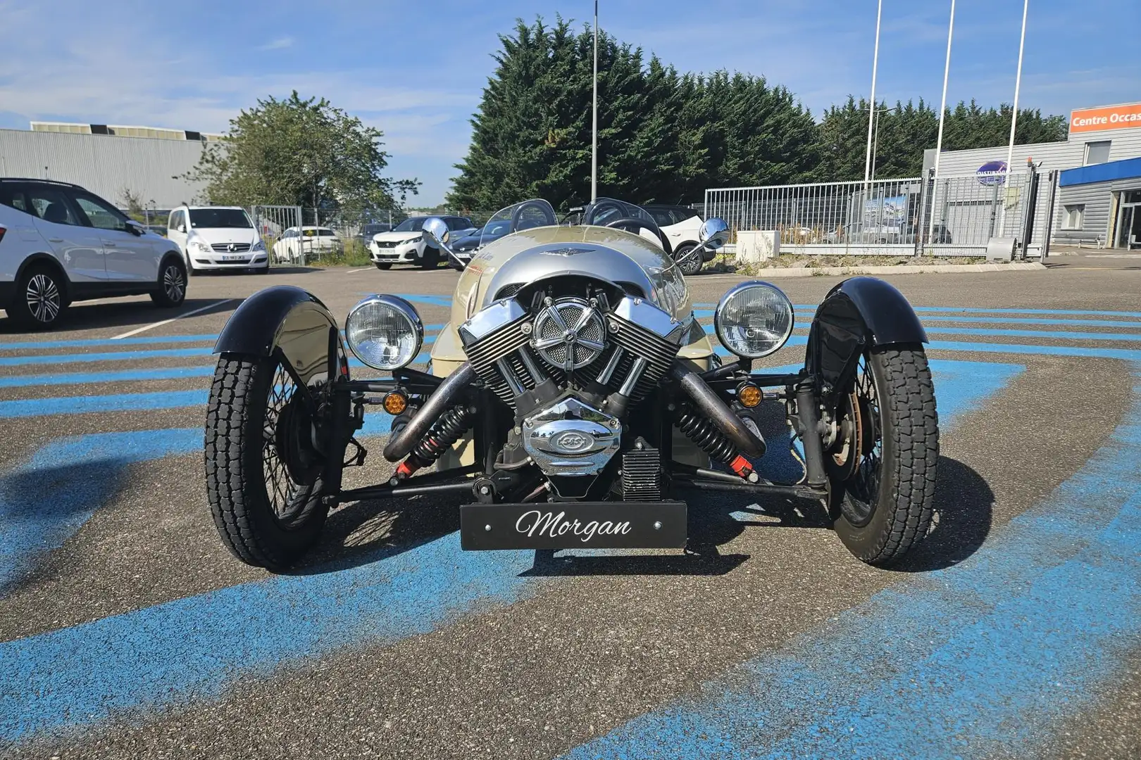 Morgan THREEWEALER Beżowy - 2