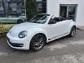 Volkswagen Beetle Sport Blanc - thumbnail 3