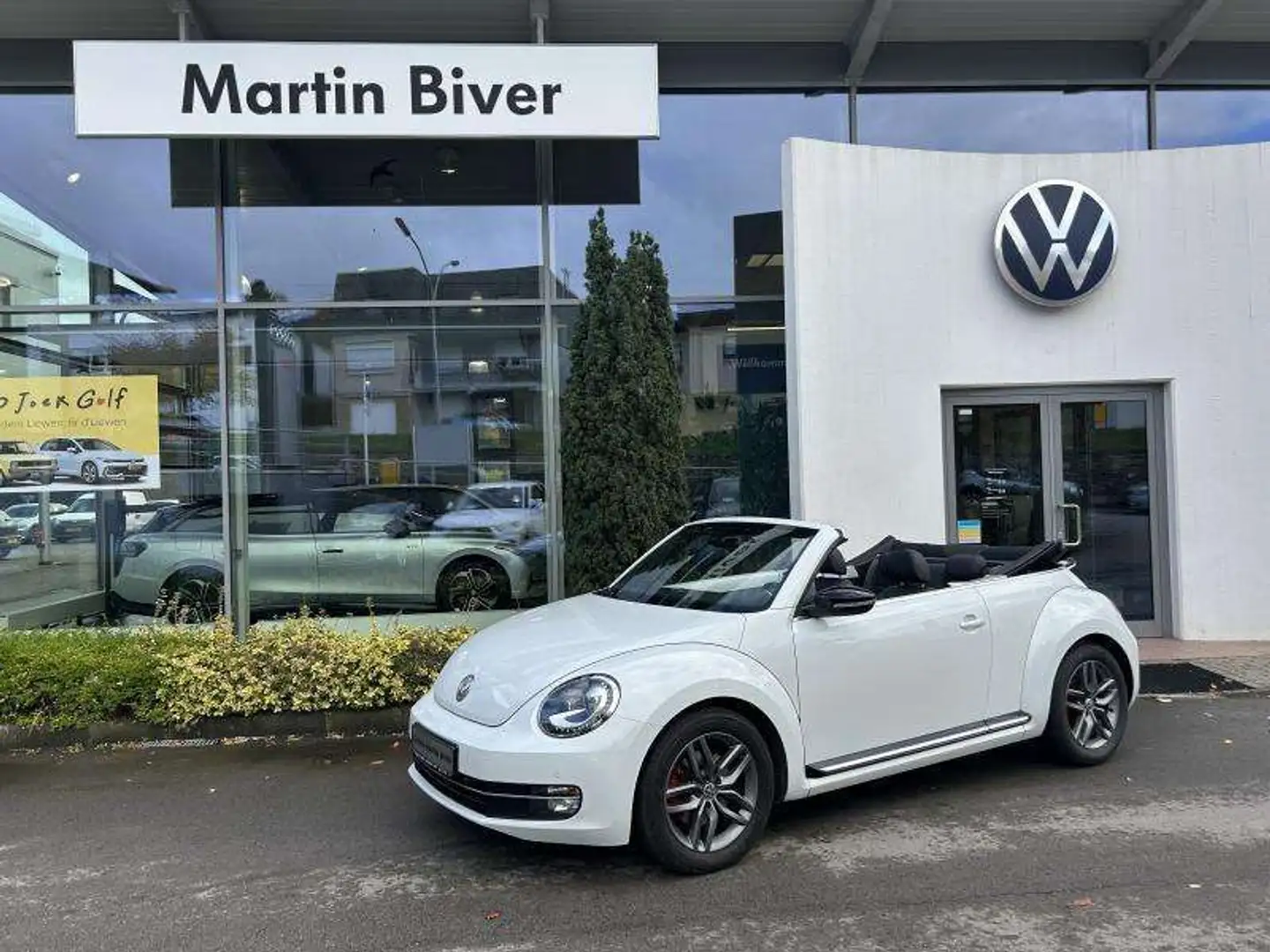 Volkswagen Beetle Sport Blanc - 1