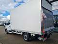 Renault Master 35 New Möbel Koffer LBW KAMERA LUFTFEDERUN Weiß - thumbnail 6