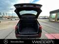 Mercedes-Benz B 250 B250e MBUX DIS PAN LED AHK 360 MEMO AMGLINE PREM Schwarz - thumbnail 9