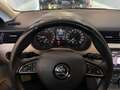 Skoda Octavia Octavia 2.0 TDI CR Executive Blau - thumbnail 4