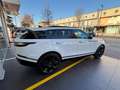 Land Rover Range Rover Velar Range Rover Velar  2.0d i4 mhev R-DynamicSE 204CV White - thumbnail 5