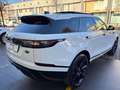 Land Rover Range Rover Velar Range Rover Velar  2.0d i4 mhev R-DynamicSE 204CV White - thumbnail 4