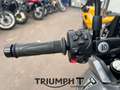 Triumph Tiger Sport TIGER SPORT 800 Gris - thumbnail 7
