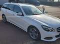 Mercedes-Benz E 350 E-Klasse T-Modell Diesel T BlueTEC 4Matic 7G-TRONI Blanco - thumbnail 4