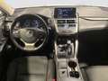 Lexus NX 300 300h Sport Edition 2WD Grau - thumbnail 13