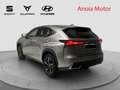 Lexus NX 300 300h Sport Edition 2WD Grau - thumbnail 4