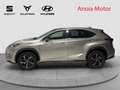 Lexus NX 300 300h Sport Edition 2WD Grau - thumbnail 3