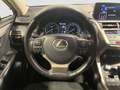 Lexus NX 300 300h Sport Edition 2WD Grau - thumbnail 12
